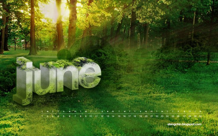 График работы на июнь