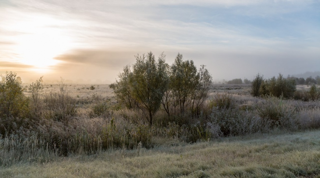 График работы на&nbsp;ноябрь