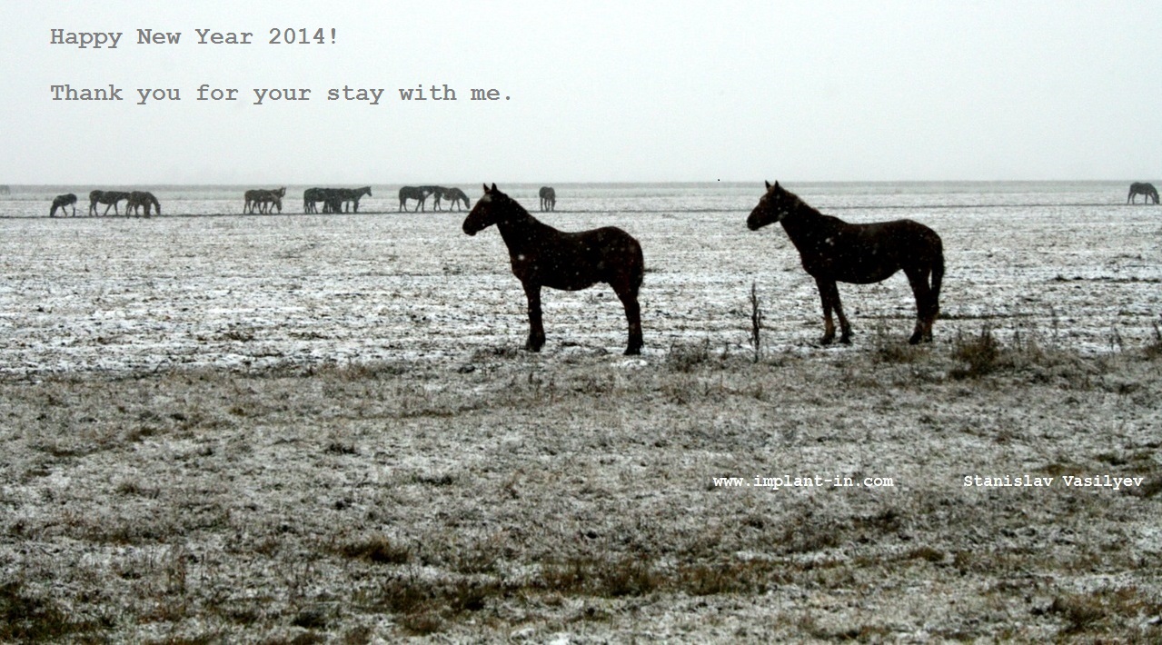 С Новым Годом!