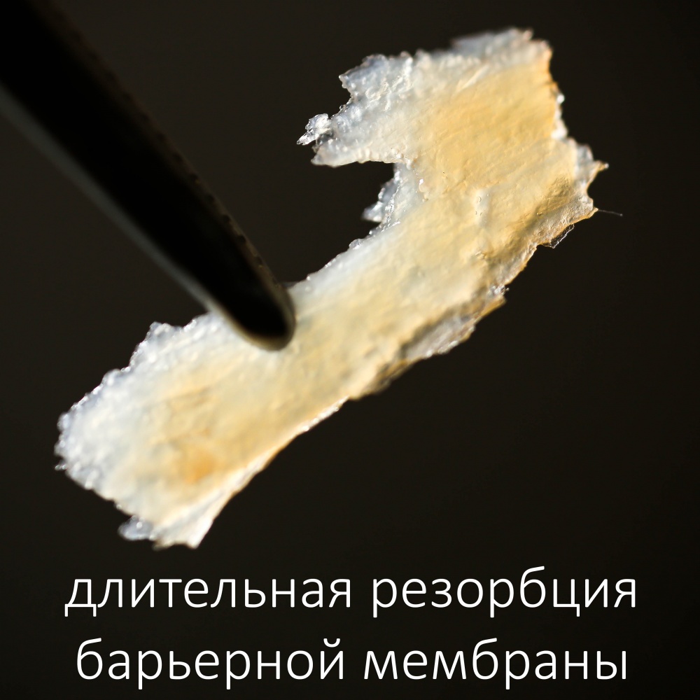 Длительная резорбция барьерной мембраны